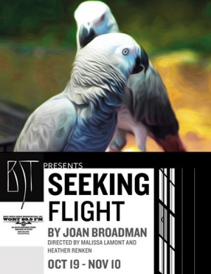 Seeking Flight
